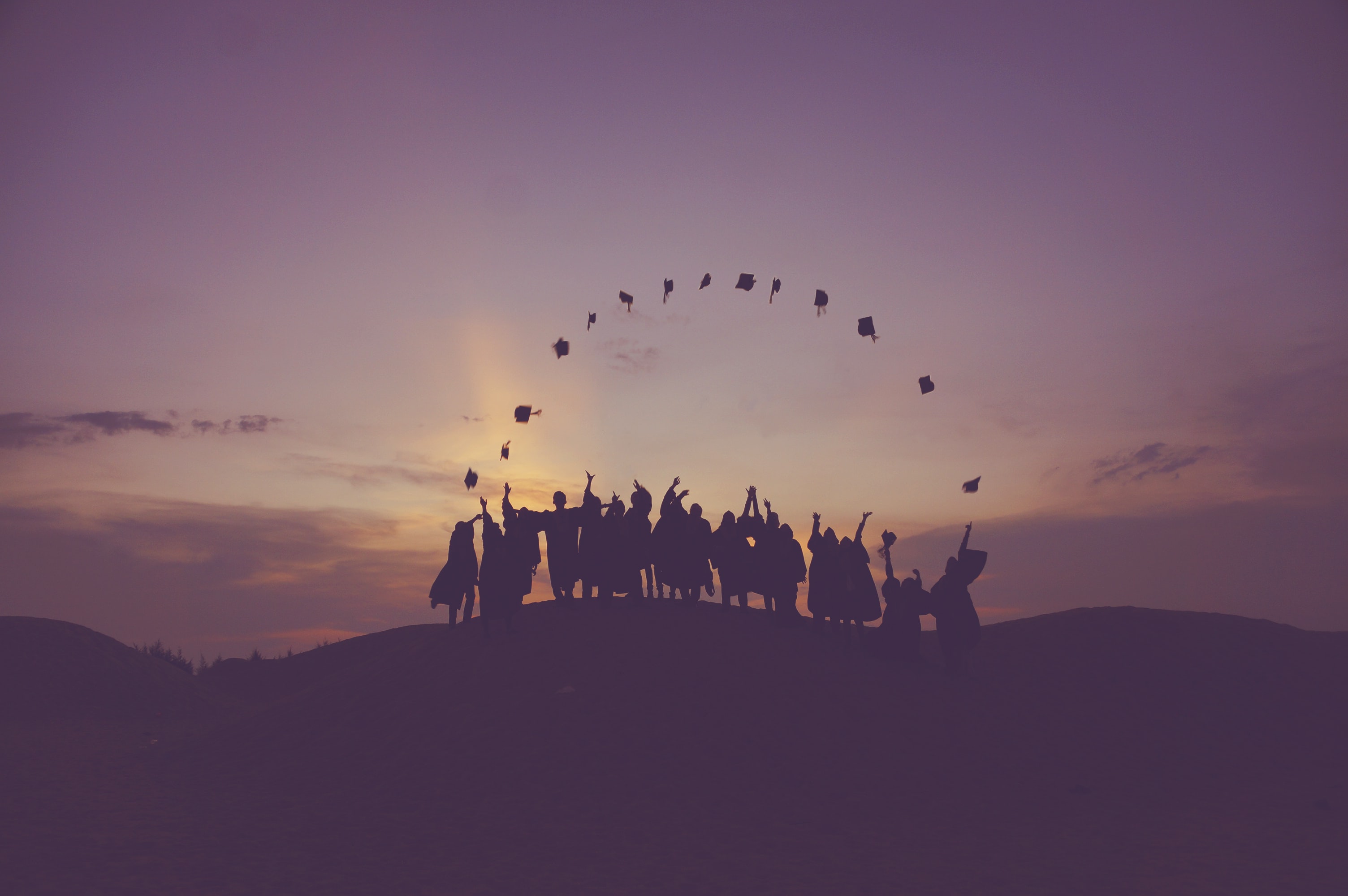 Grad programme