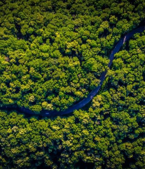 Santander launches its first socially responsible bond for retail investors