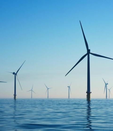 Boosting the green recovery