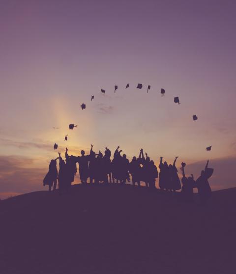 Grad programme