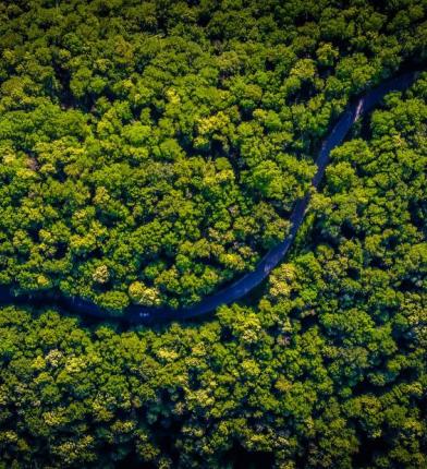 Santander launches its first socially responsible bond for retail investors